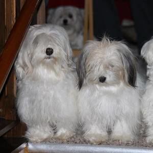 Meet your Posher, Linda